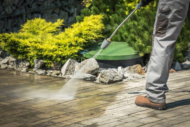 Best Winterizing Services  in Center Hill, FL